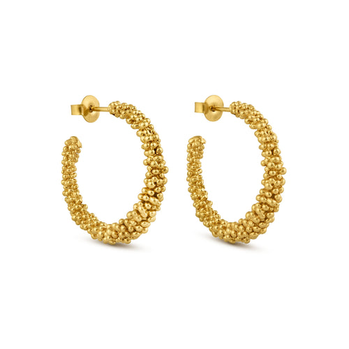 JOIDART-STARDUS- Large Golden Loop Earrings