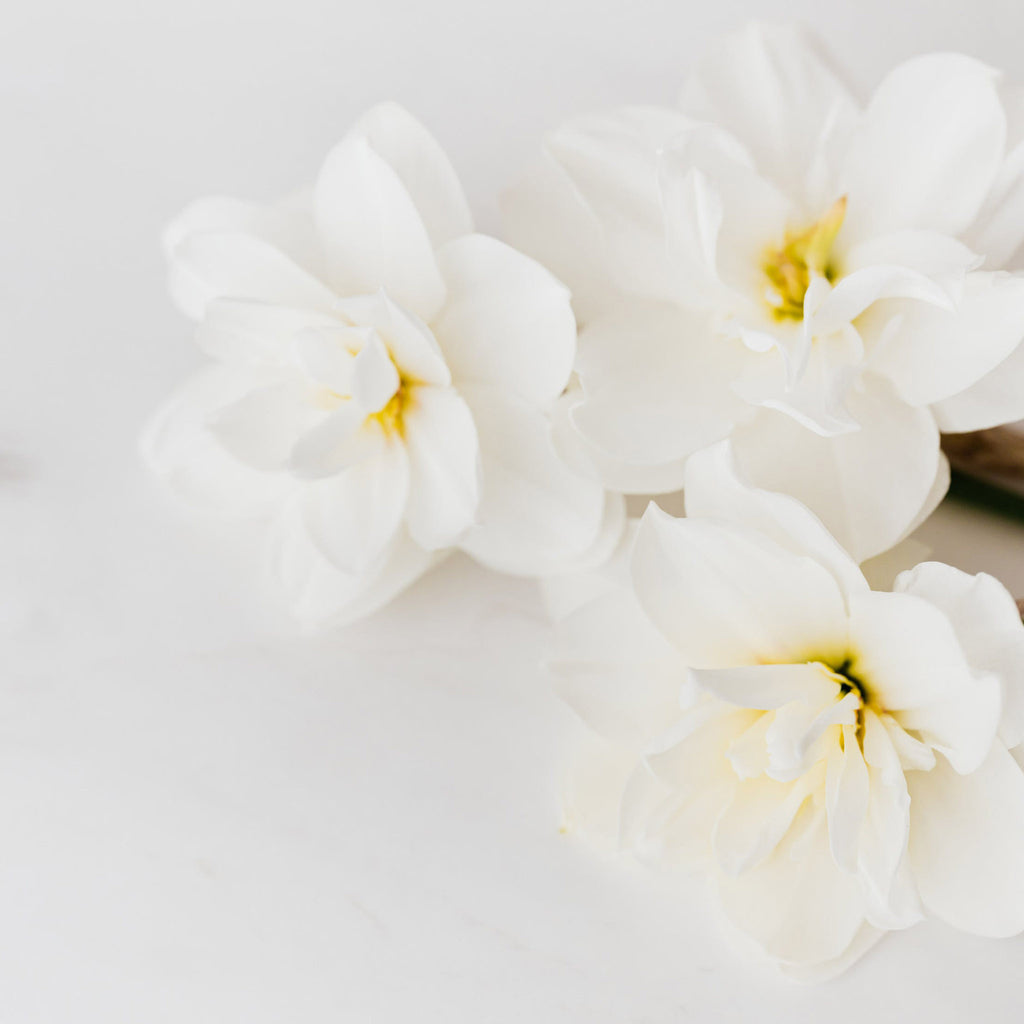 Silver and Yellow-Gold Double Daffodil Flower Stud Earrings
