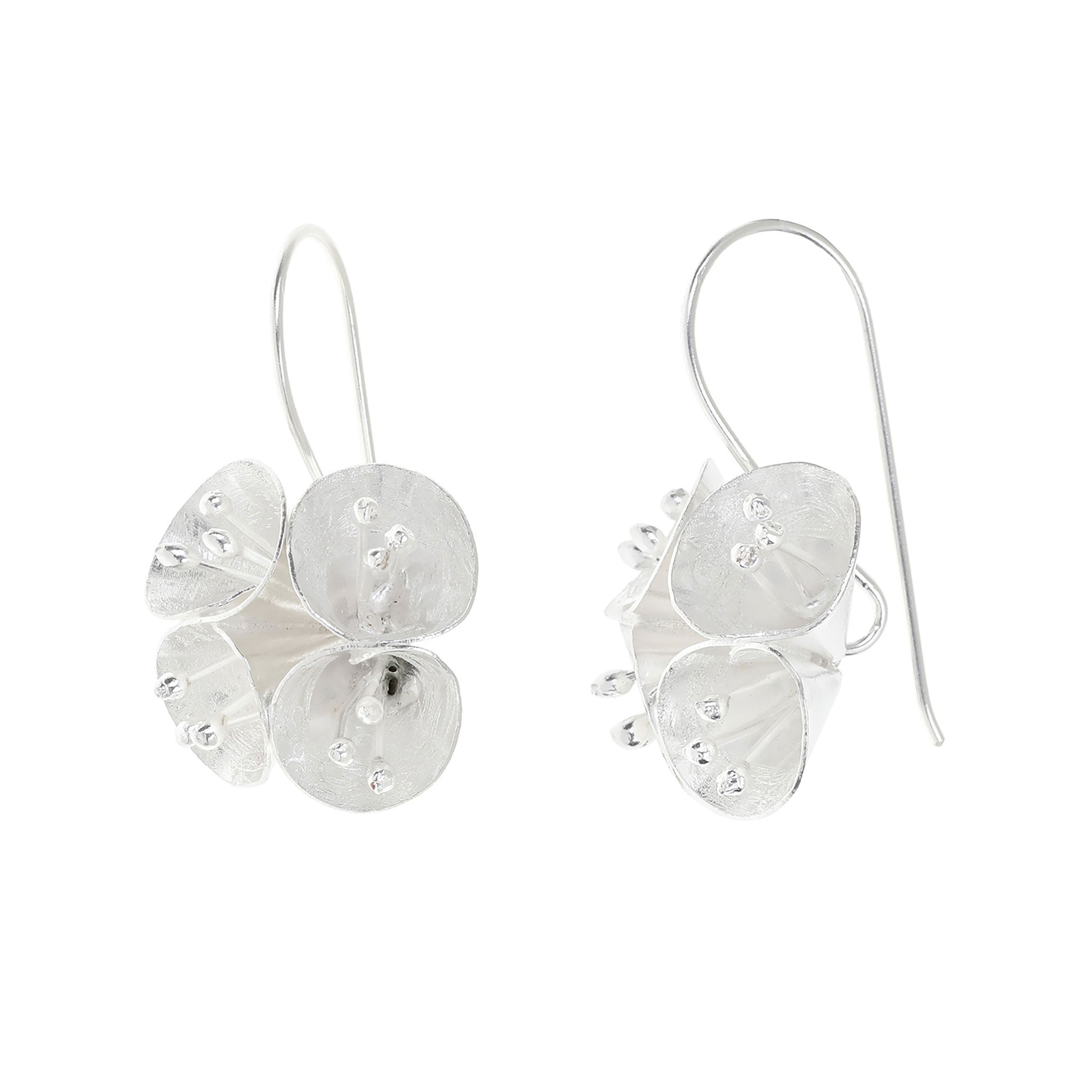 Silver Gumnut Earrings
