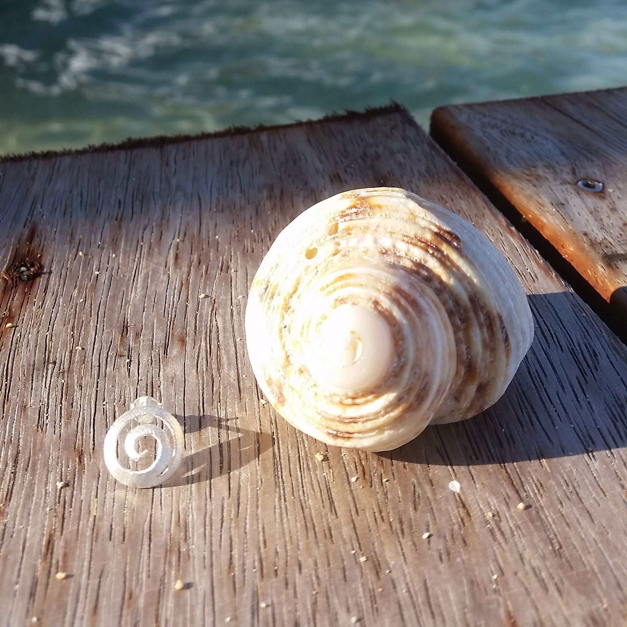 Silver Round Sea Shell Stud Earrings