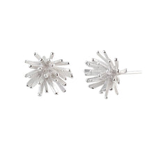 Load image into Gallery viewer, Silver Spiky Stud Earrings