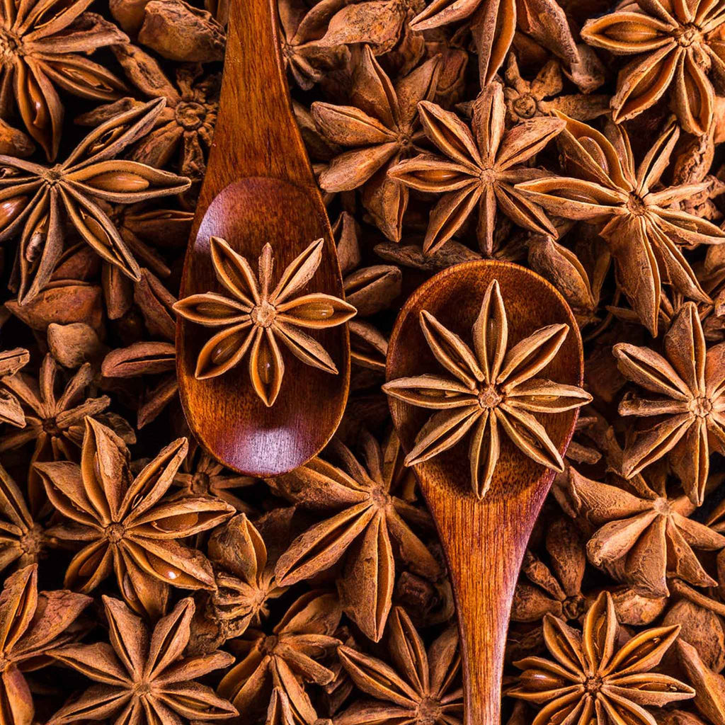 Silver Star Anise Earrings