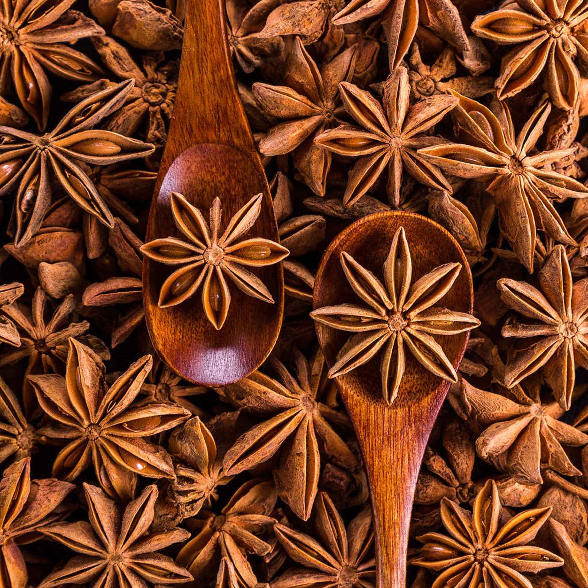 Silver Star Anise Earrings